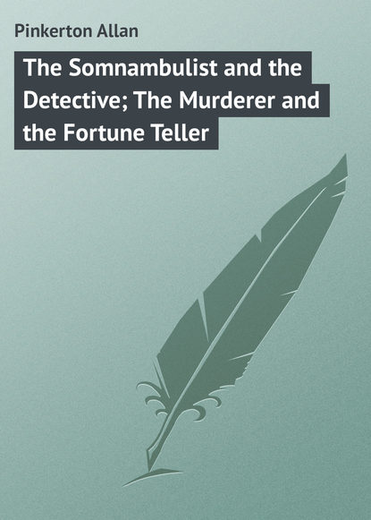 Скачать книгу The Somnambulist and the Detective; The Murderer and the Fortune Teller