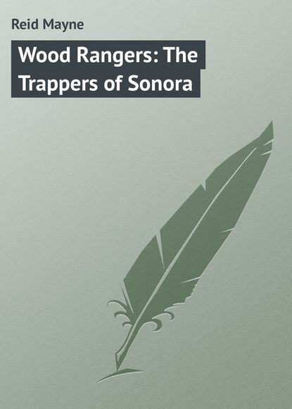 Скачать книгу Wood Rangers: The Trappers of Sonora