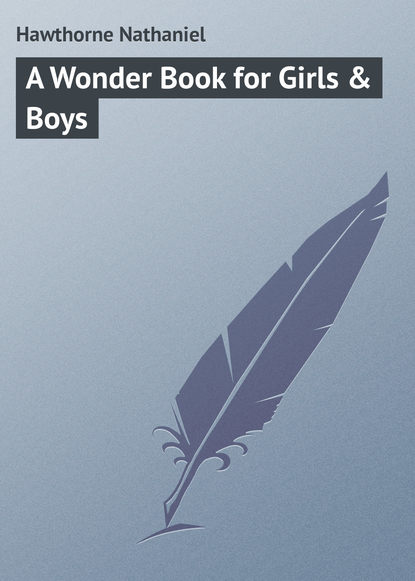 Скачать книгу A Wonder Book for Girls &amp; Boys