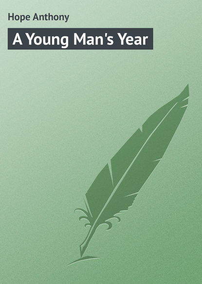 Скачать книгу A Young Man&apos;s Year