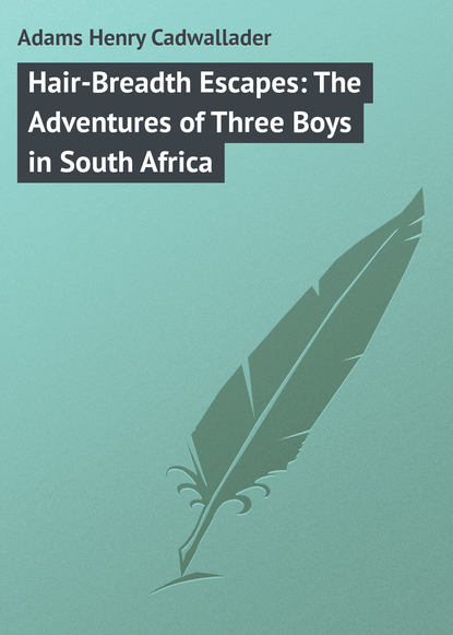 Скачать книгу Hair-Breadth Escapes: The Adventures of Three Boys in South Africa