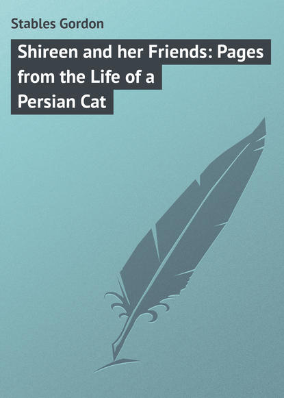 Скачать книгу Shireen and her Friends: Pages from the Life of a Persian Cat