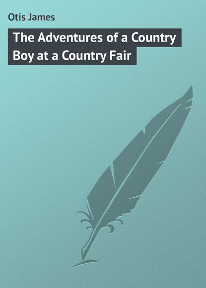 Скачать книгу The Adventures of a Country Boy at a Country Fair