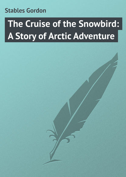 Скачать книгу The Cruise of the Snowbird: A Story of Arctic Adventure