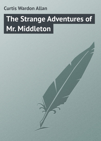 Скачать книгу The Strange Adventures of Mr. Middleton