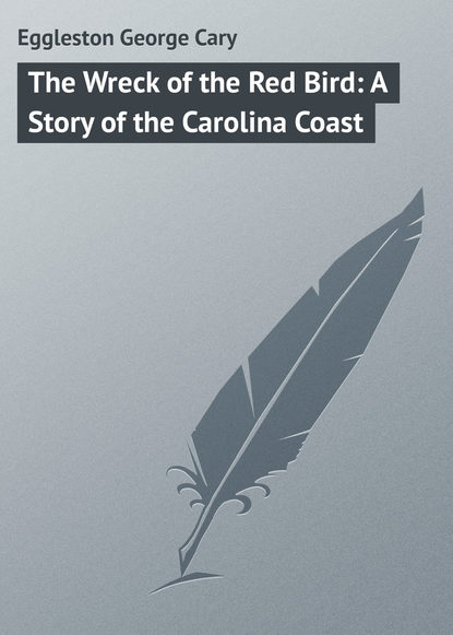 Скачать книгу The Wreck of the Red Bird: A Story of the Carolina Coast