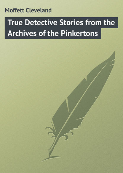 Скачать книгу True Detective Stories from the Archives of the Pinkertons