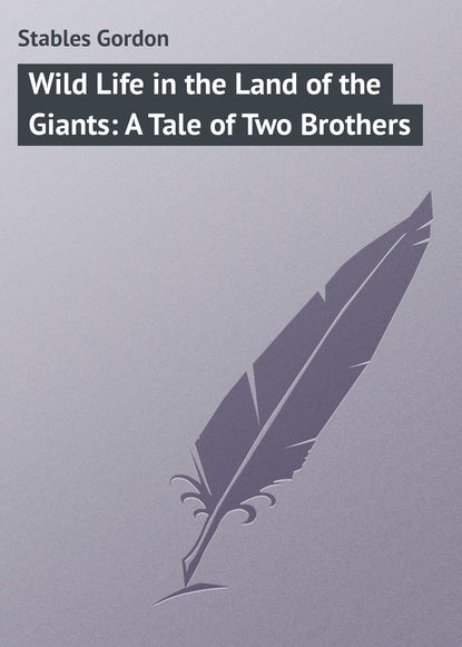 Скачать книгу Wild Life in the Land of the Giants: A Tale of Two Brothers