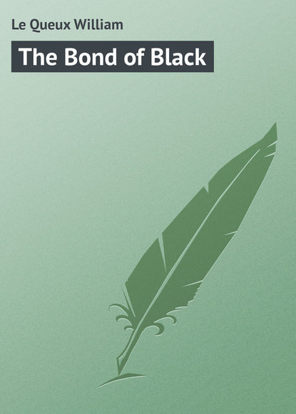 Скачать книгу The Bond of Black