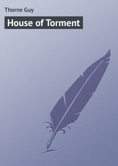 Скачать книгу House of Torment