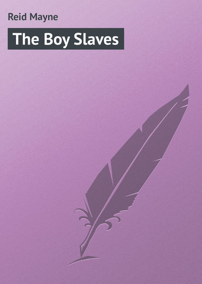 Скачать книгу The Boy Slaves