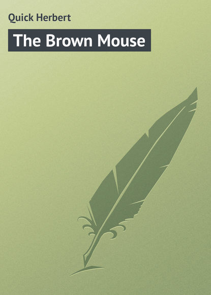 Скачать книгу The Brown Mouse
