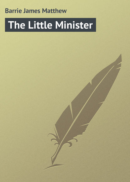 Скачать книгу The Little Minister