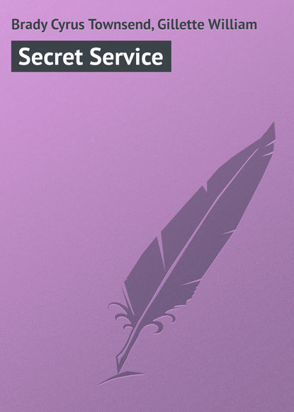 Скачать книгу Secret Service