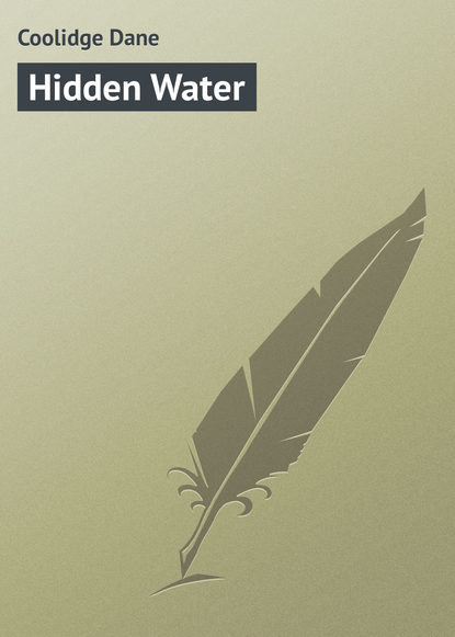 Скачать книгу Hidden Water