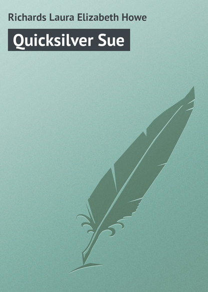 Скачать книгу Quicksilver Sue