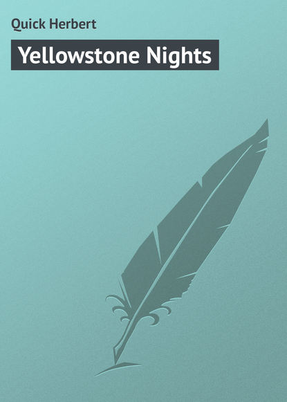 Скачать книгу Yellowstone Nights