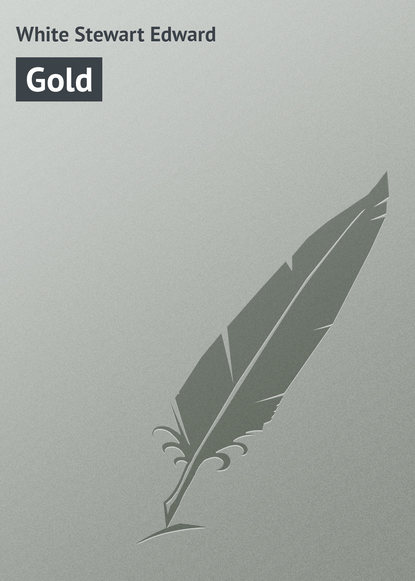 Скачать книгу Gold