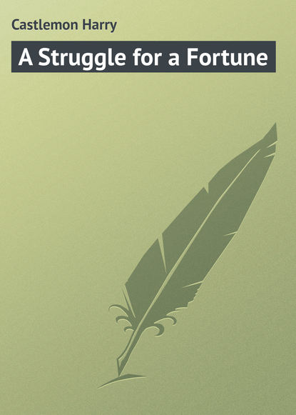 Скачать книгу A Struggle for a Fortune