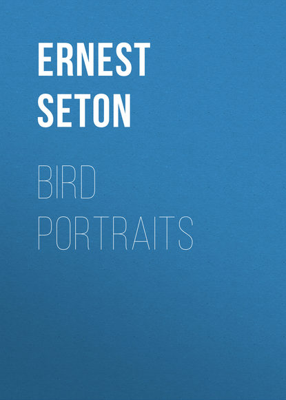 Скачать книгу Bird Portraits