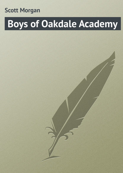 Скачать книгу Boys of Oakdale Academy