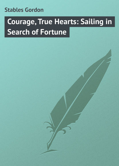 Скачать книгу Courage, True Hearts: Sailing in Search of Fortune