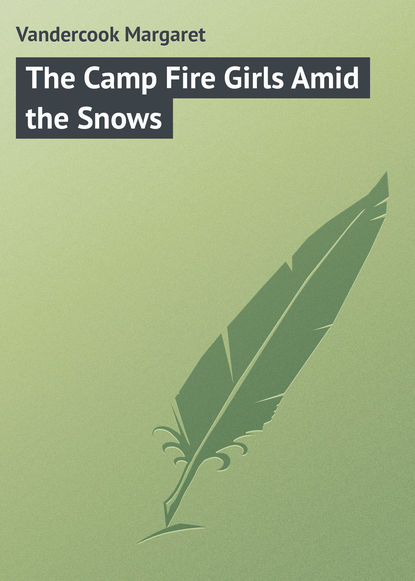 Скачать книгу The Camp Fire Girls Amid the Snows