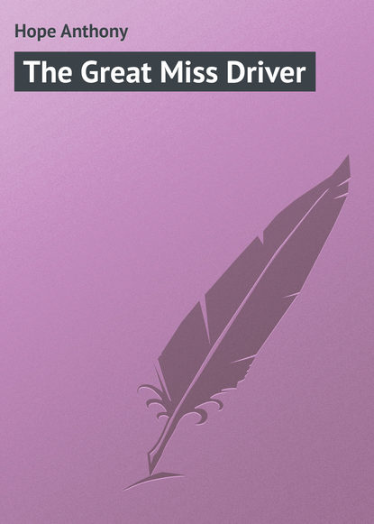 Скачать книгу The Great Miss Driver