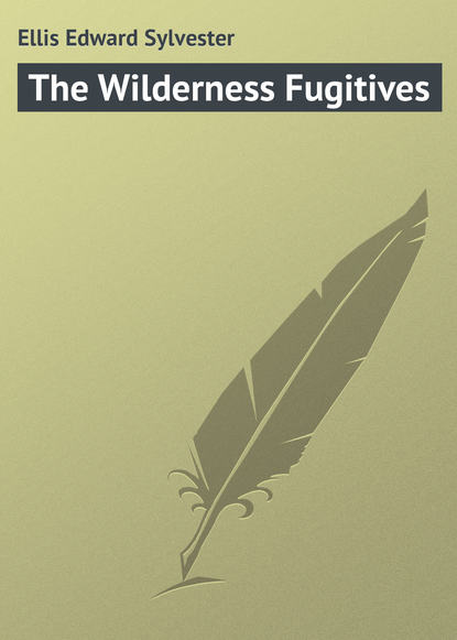 Скачать книгу The Wilderness Fugitives