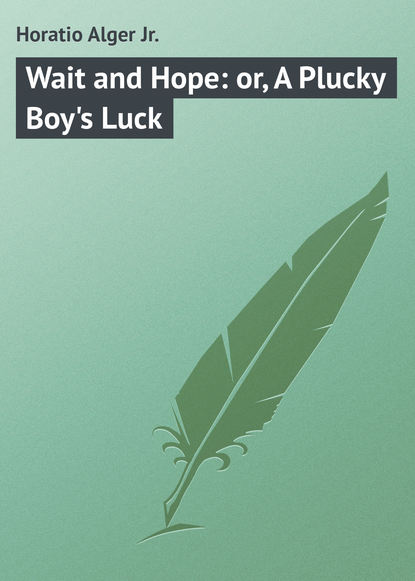 Скачать книгу Wait and Hope: or, A Plucky Boy&apos;s Luck