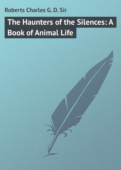 Скачать книгу The Haunters of the Silences: A Book of Animal Life