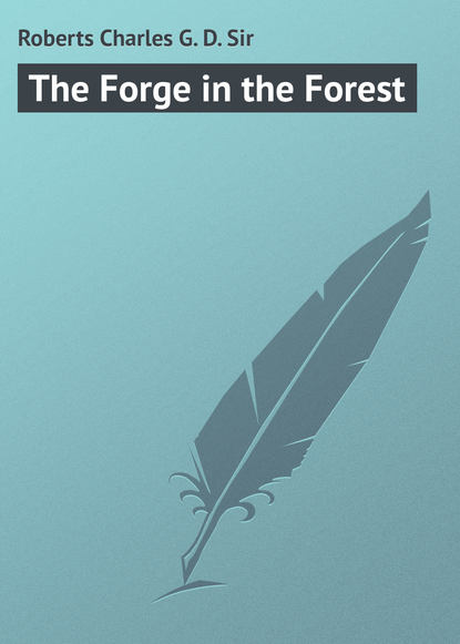 Скачать книгу The Forge in the Forest