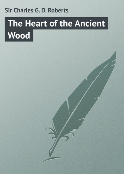 Скачать книгу The Heart of the Ancient Wood