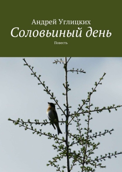 Скачать книгу Соловьиный день. Повесть