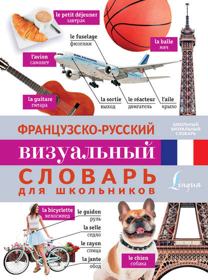 Скачать книгу Французско-русский визуальный словарь для школьников