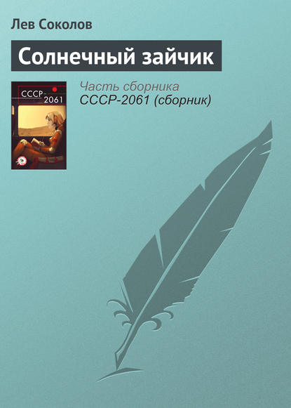 Скачать книгу Солнечный зайчик