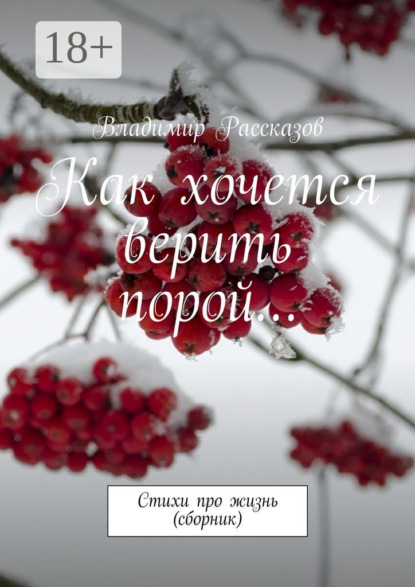 Скачать книгу Как хочется верить порой… Стихи про жизнь (сборник)
