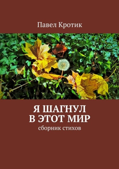 Скачать книгу Я шагнул в этот мир. Сборник стихов