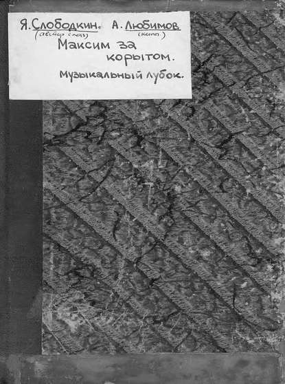 Скачать книгу Максим за корытом