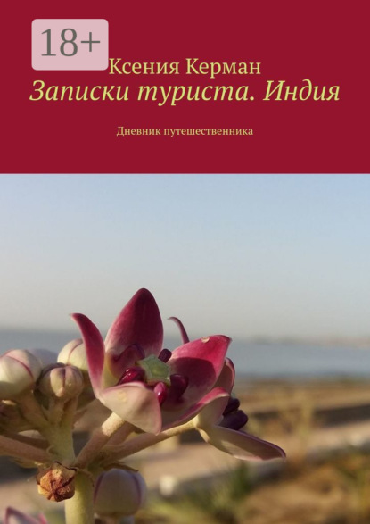 Скачать книгу Записки туриста. Индия. Дневник путешественника