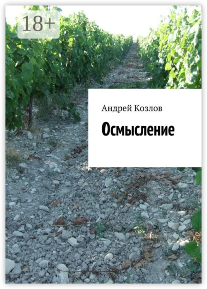 Скачать книгу Осмысление