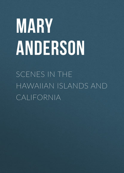 Скачать книгу Scenes in the Hawaiian Islands and California