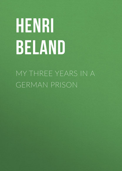 Скачать книгу My Three Years in a German Prison