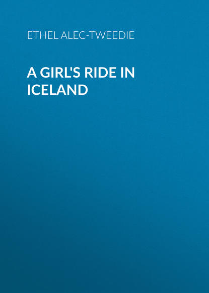 Скачать книгу A Girl's Ride in Iceland