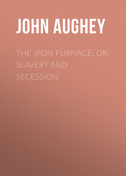 Скачать книгу The Iron Furnace; or, Slavery and Secession