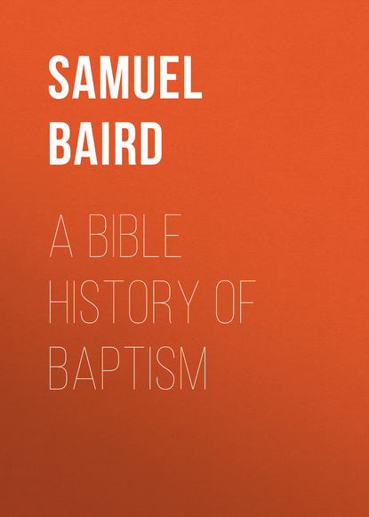 Скачать книгу A Bible History of Baptism