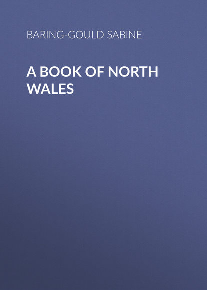 Скачать книгу A Book of North Wales