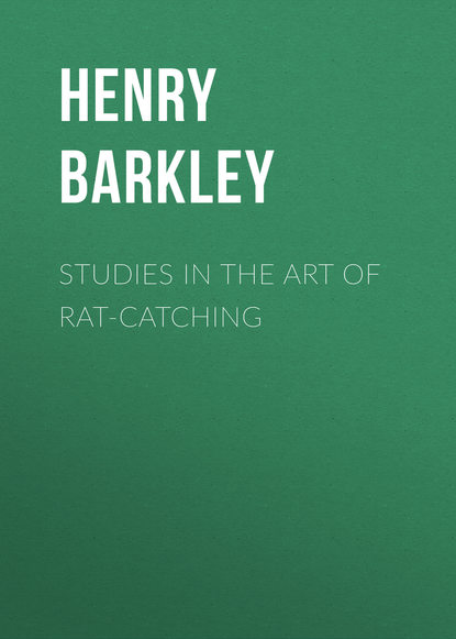 Скачать книгу Studies in the Art of Rat-catching