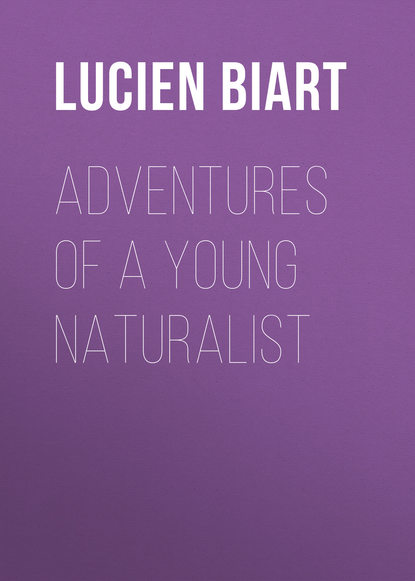 Скачать книгу Adventures of a Young Naturalist