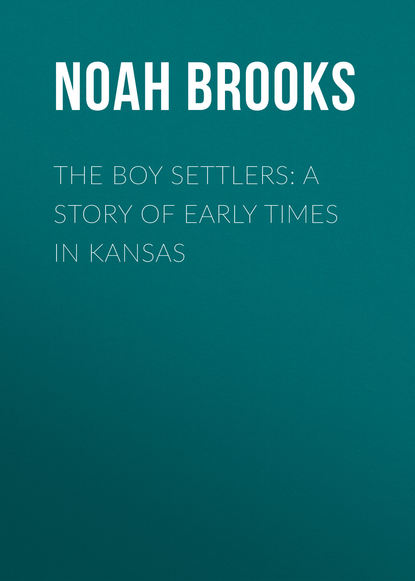 Скачать книгу The Boy Settlers: A Story of Early Times in Kansas